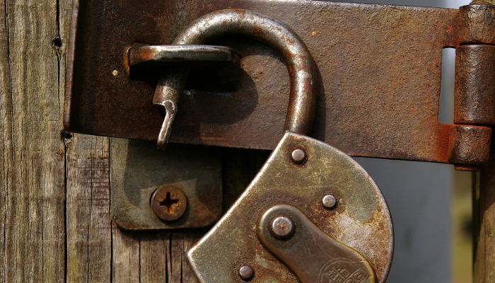 Portes obertes Es Molinar - Ambients