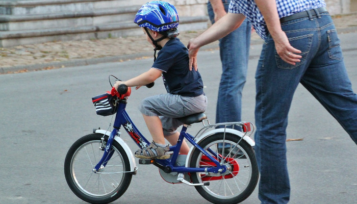 Assegurança AMIPA Es molinar
