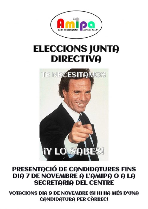 Cartell eleccions AMIPA